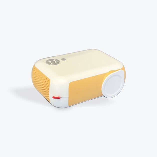 Projector